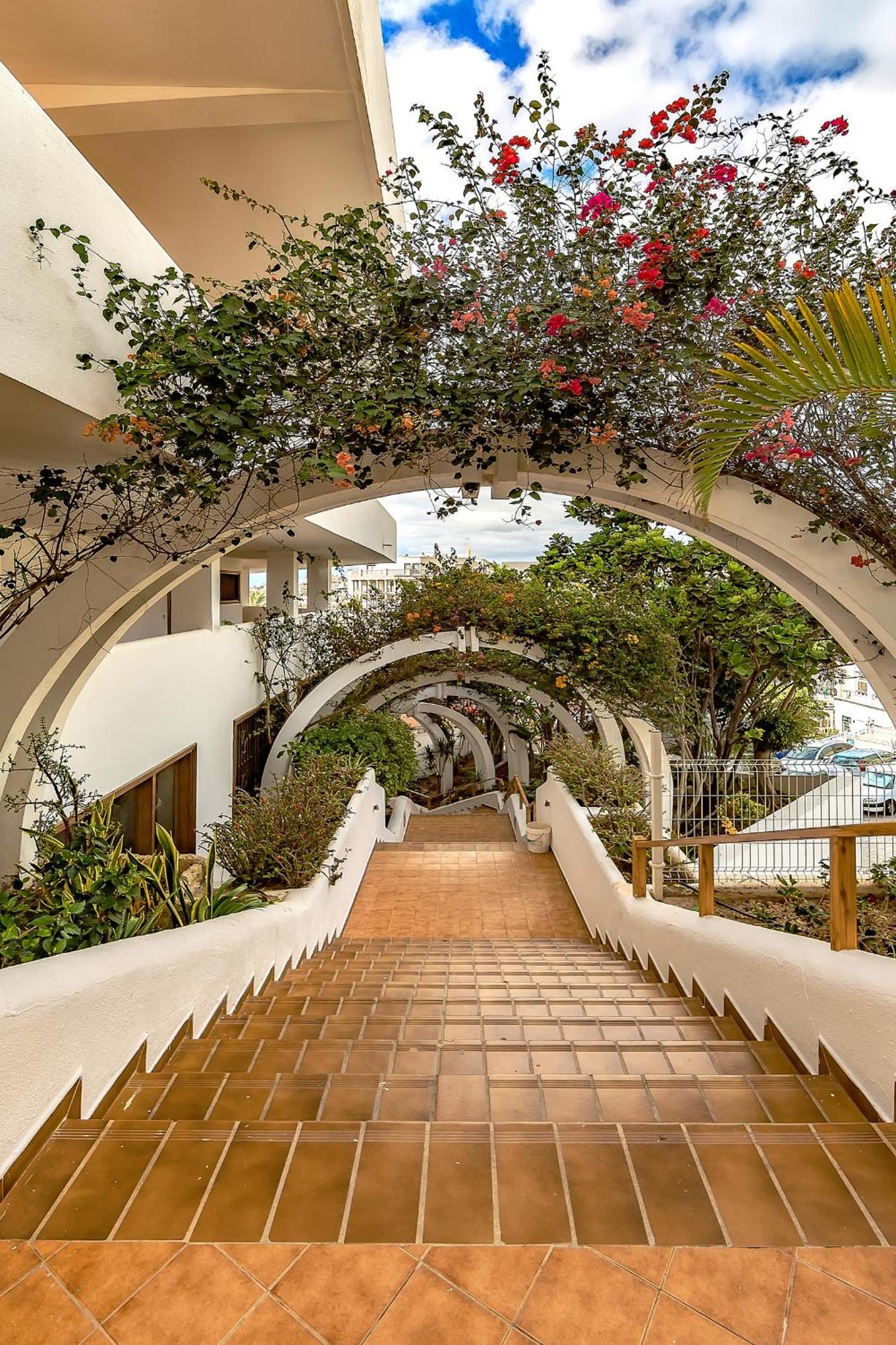 Ocean View Apartments In Park Royal I Costa Adeje  Exterior foto